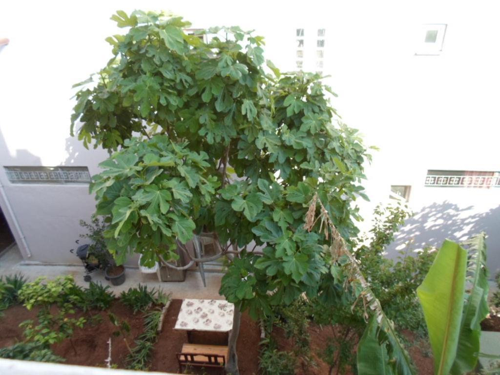 Banana Apart Marmaris Exterior foto